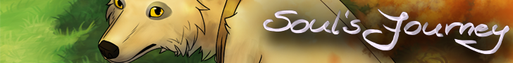 Soul's Journey
